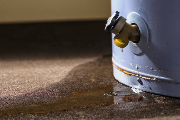 Best Fire Damage Restoration  in Edinboro, PA