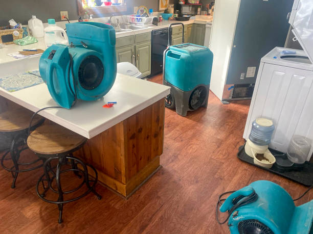Best Mold removal after water damage  in Edinboro, PA