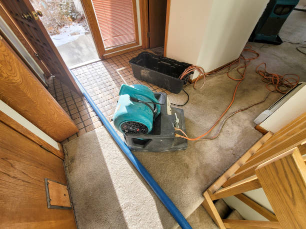 Best 24/7 water damage repair  in Edinboro, PA