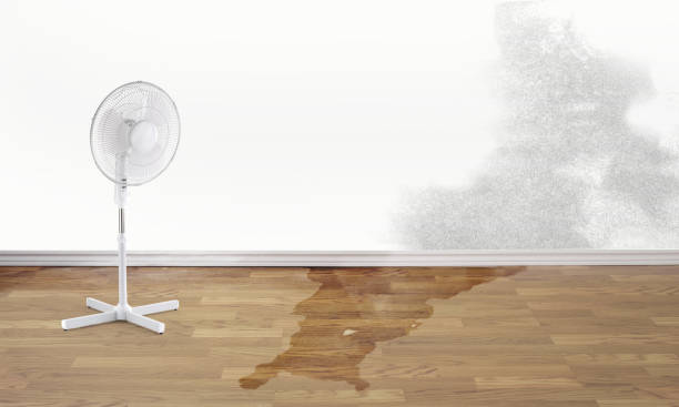 Best Sewage cleanup and water damage restoration  in Edinboro, PA