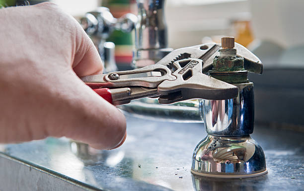 Best Water damage mitigation services  in Edinboro, PA