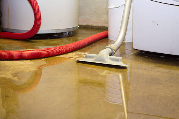 Best Commercial water damage restoration  in Edinboro, PA