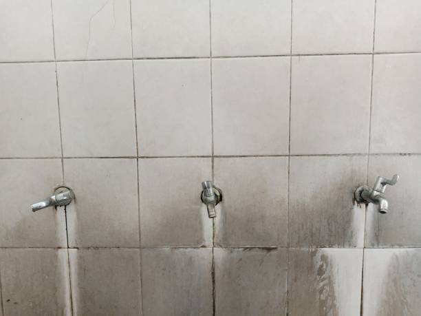Best Water damage cleanup near me  in Edinboro, PA