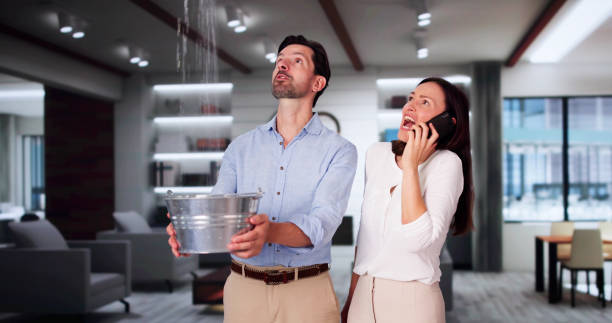 Best Water damage restoration near me  in Edinboro, PA