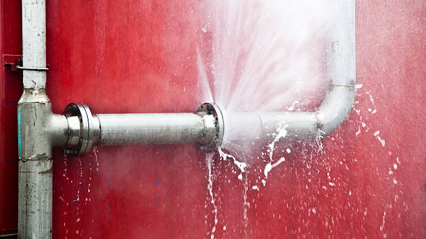 Best Water damage restoration insurance claims  in Edinboro, PA