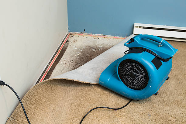 Best Basement water damage restoration  in Edinboro, PA
