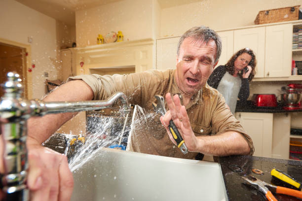 Best Flooded house restoration  in Edinboro, PA